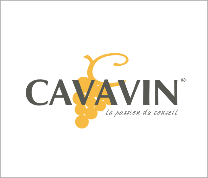 logo Cavavin